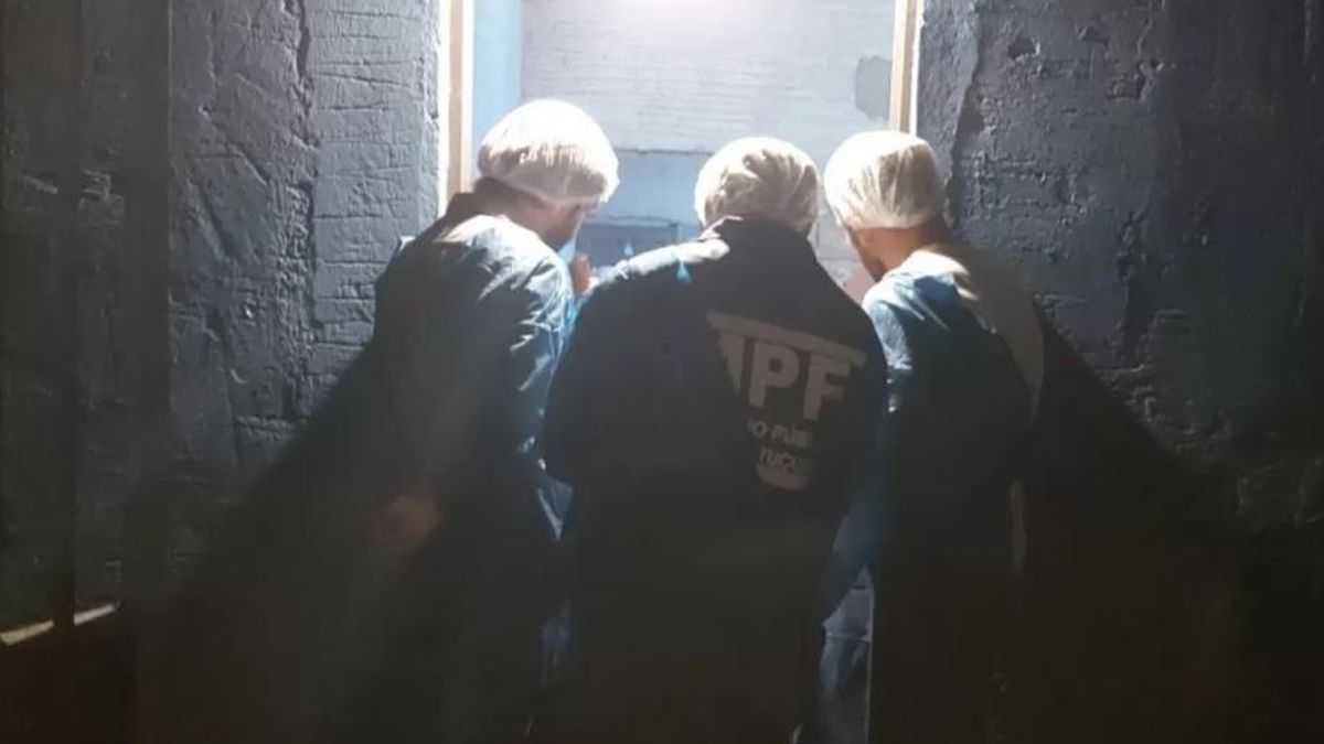 Los investigadores. (Foto: Radio Bicentenario)