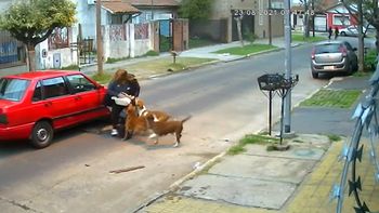 Una jauría atacó ferozmente a una mujer y el dueño dijo no me puedo ocupar