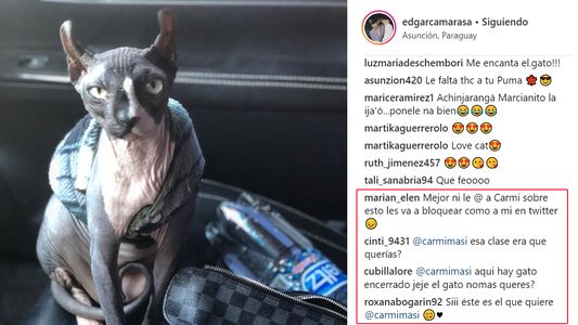 La Masi bloqueó a PrimiciasYa Paraguay por la noticia de los gatitos