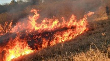 Nos fundimos sin darnos cuenta: el drama de un productor que sufre el impacto de los incendios en Corrientes