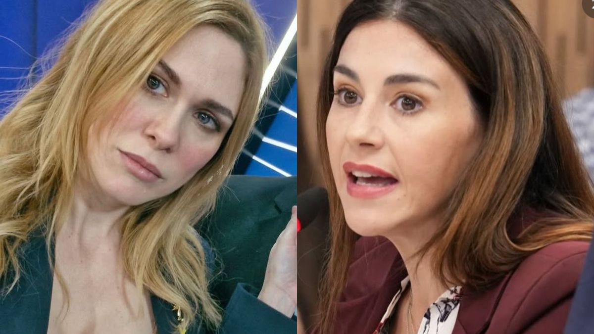 Tenso cruce entre Lilia Lemoine y Marcela Pagano por el proyecto Ficha limpia psicológica (Foto: archivo)