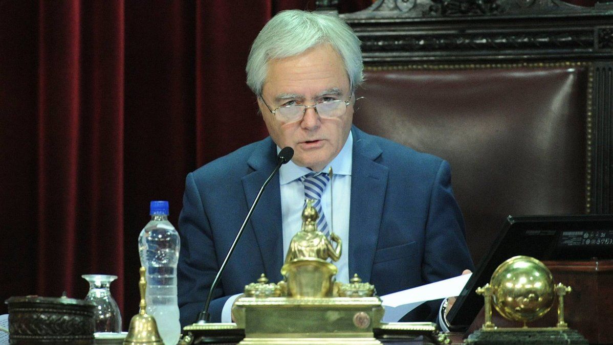 Pinedo se la jugó con un pronóstico sobre el aborto: Me da la sensación que lo que salió de Diputados no tiene consenso en el Senado