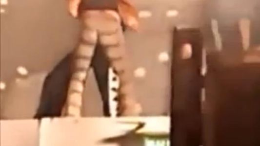 Habló la mujer que bailó con La Mona en el polémico video