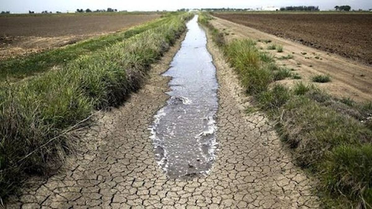 Entre Ríos fue una de las zonas más afectadas por la sequía. 