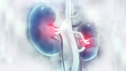 Insuficiencia renal aguda, una enfermedad más común que la diabetes y la hipertensión en mayores de 50