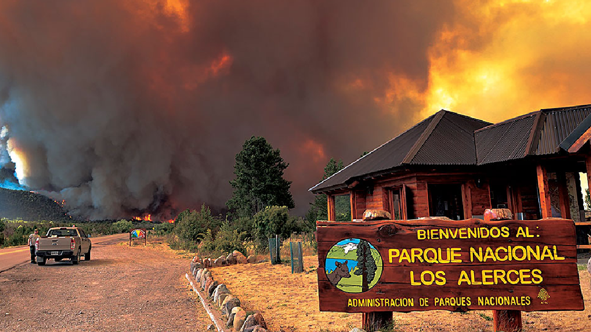 Por el humo, no pueden combatir el incendio con medios aéreos en el Parque Nacional Los Alerces. (Foto: captura) Por el humo, no pueden combatir el incendio con medios aéreos en el Parque Nacional Los Alerces. (Foto: captura)