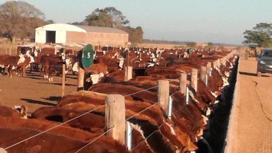 El primer bimestre cerró con un superávit fiscal primario de $23.384 millones