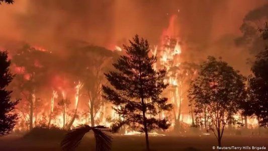 Incendios en Australia: un país en emergencia por la catástrofe natural más grande en su historia