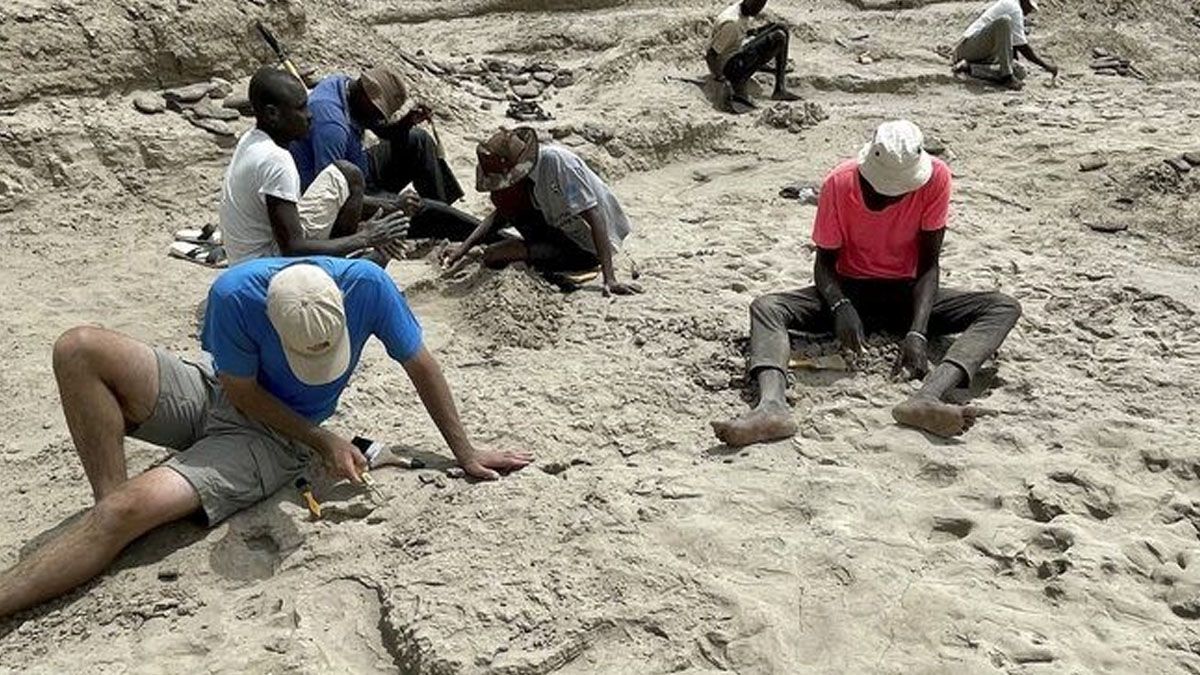 El cuidadoso trabajo para dejar al descubierto los restos de los orígenes del hombre en la Tierra. (Foto: Gentileza CTVN)