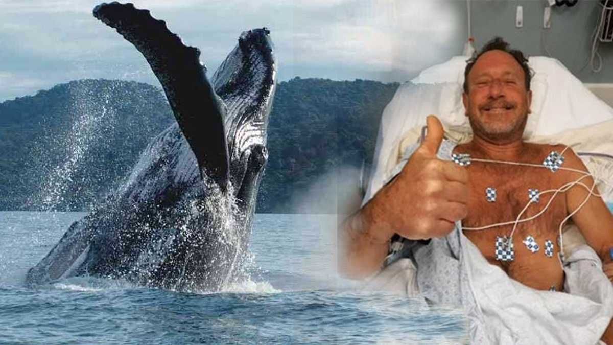 Una ballena se tragó y escupió a un pescador.