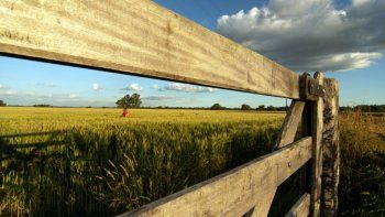 La presión impositiva no da tregua: el Estado se queda con $62 de cada $100 de renta agrícola