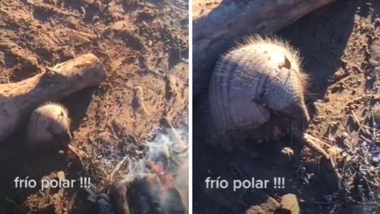 Tik Tok: un hombre que se calentaba en una fogata recibió una sorpresiva compañía