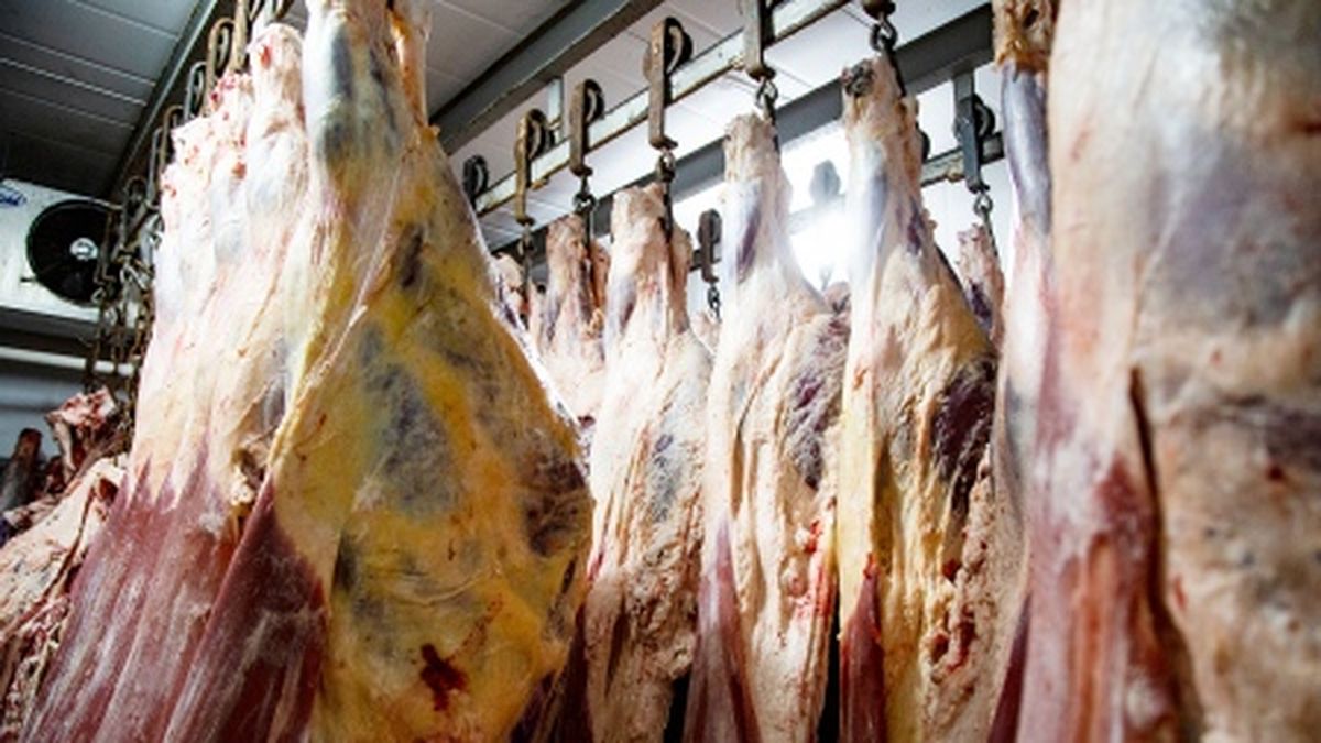 Allanan frigoríficos de Berazategui por las muertes por consumo de carne contaminada. (Télam)