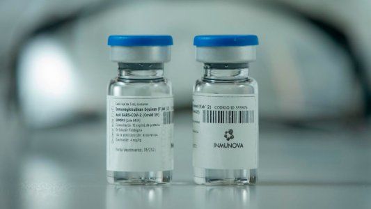 La Anmat autorizó el suero equino para el tratamiento de coronavirus