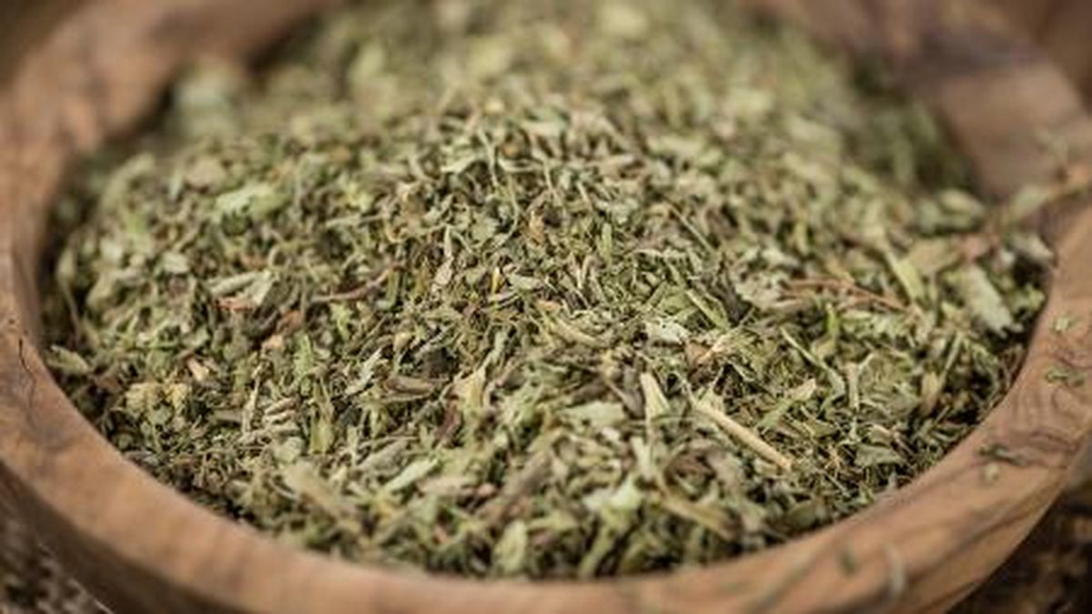 Misiones: aceptan un amparo contra el DNU que desregulaba los precios de la yerba. (Télam)
