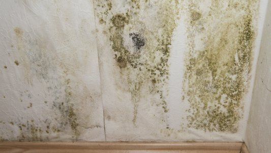 ¿Cómo sacar la humedad de la pared?