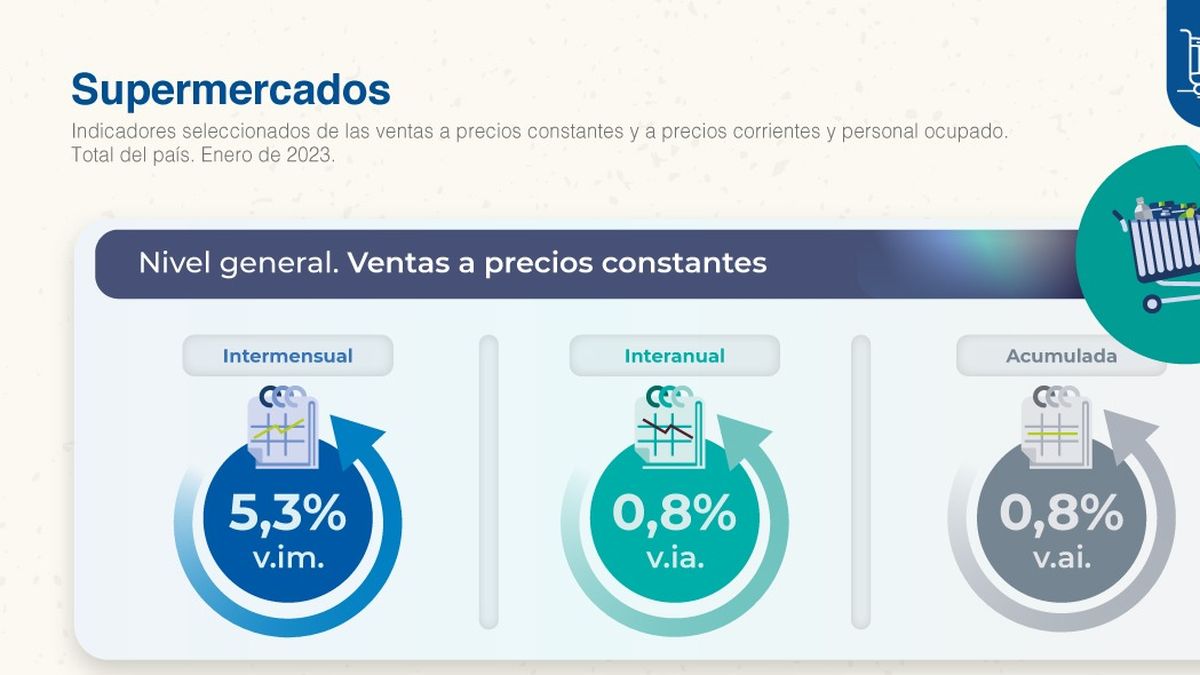 El Consumo Comenzó El 2023 Con Un Leve Repunte: ¿qué Productos Se ...