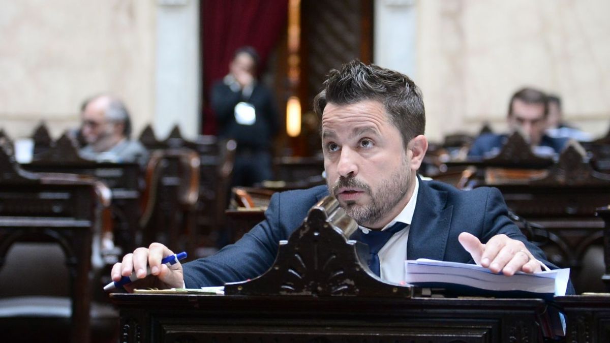 El diputado nacional de Juntos por el Cambio Martín Tetaz presentó hoy un proyecto que apunta a modificar la legislación actual para facilitar el uso de las armas no letales (Foto: Telam).