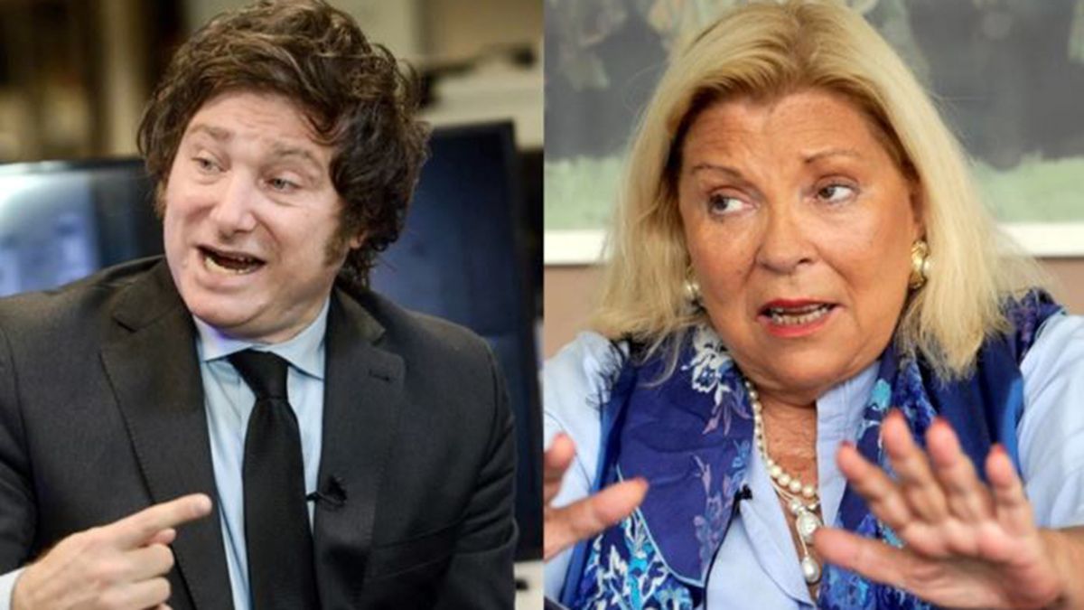 Javier Milei le respondió a Carrió: Se siente más cómoda con los K que con nosotros. (Foto: archivo)