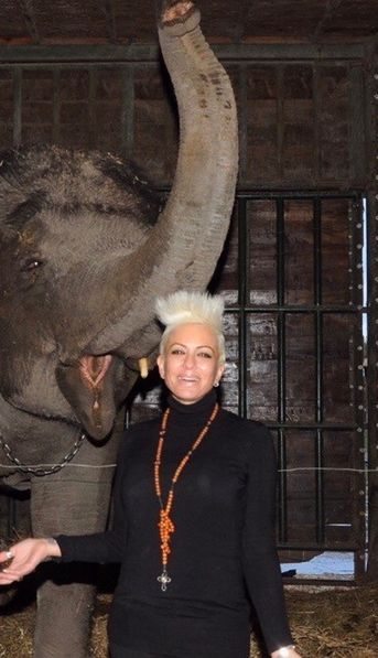 La importante cruzada de Daniela Cardone para salvar vidas animales