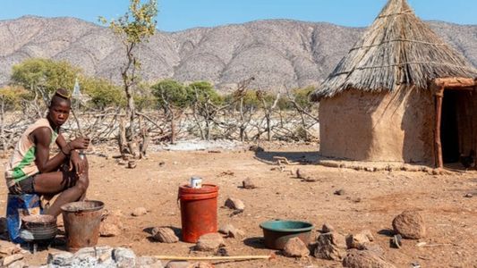 Sacrificio animal: la medida extrema que tomó Namibia para alimentar a la población