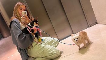 El particular festejo que Mica Tinelli le organizó a uno de sus seres más queridos