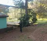 Un adolescente de 13 años se subió al techo de una escuela y una falla eléctrica desencadenó una tragedia