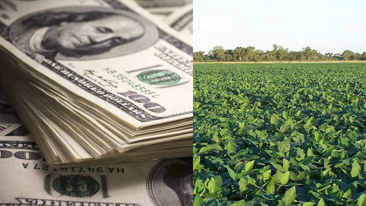 La entidad pide frenar actitudes extorsivas y especulativas. (Foto: Archivo)