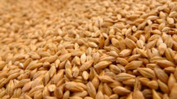 PBA: crean el Banco para Abastecimiento de Insumos Agropecuarios