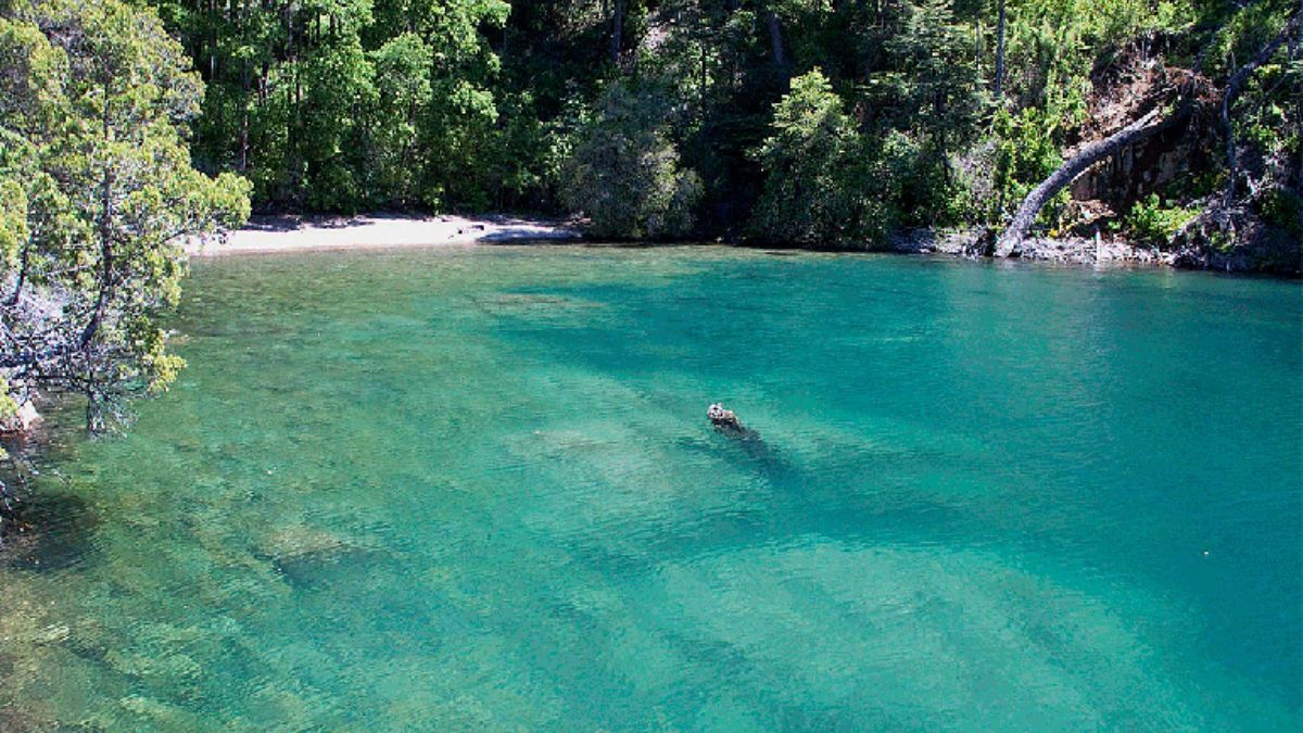 Vacaciones de verano: las 10 mejores playas de Argentina para disfrutar.