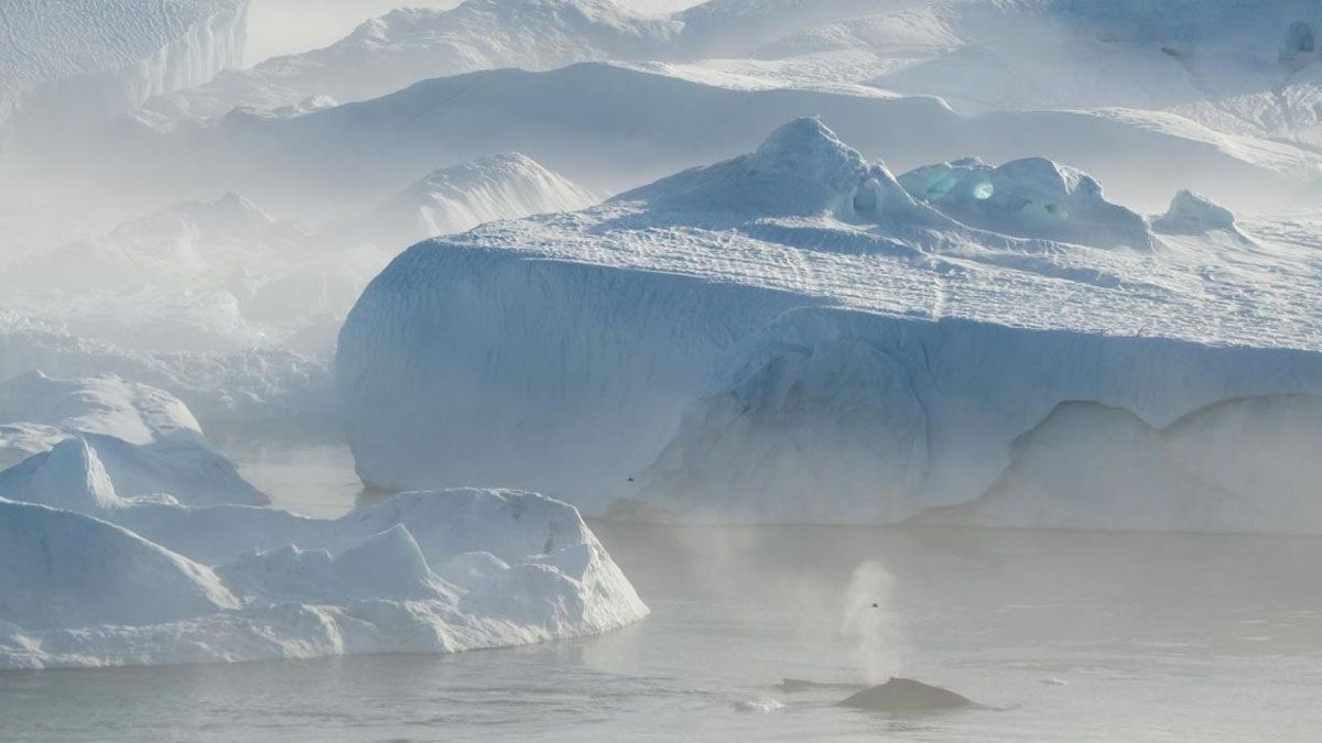 El iceberg más grande del mundo se separó de la Antártida.