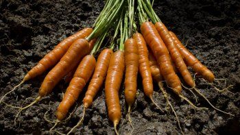 Creció la brecha de precios entre productores y clientes: las PyMES señalan a los hipermercados