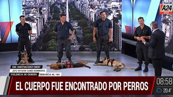 Crimen de Nancy Videla: estos son los perros que la encontraron