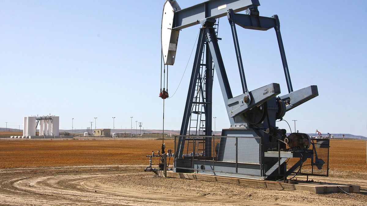 Petróleo: Pérez Companc suma servicios en Brasil.