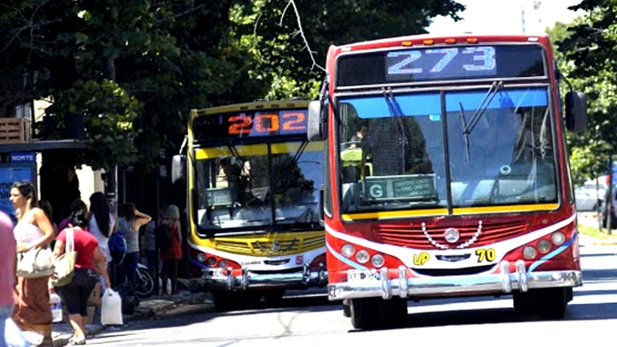 Aumenta el boleto de colectivo en la Provincia: desde este lunes viajar en el AMBA costará 11% más