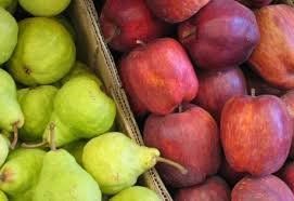 Productores frutícolas de Río Negro y Neuquén buscan otros mercados internacionales