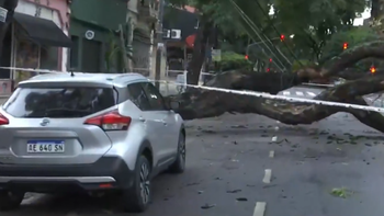Fuerte temporal de viento y lluvia en el AMBA: árboles caídos, autos aplastados y techos volados
