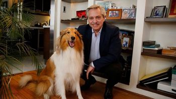 Murió Dylan, el perro de Alberto Fernández: la emotiva despedida del expresidente en redes