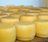 Alertan por el brote en el país de una enfermedad vinculada al consumo de un queso criollo