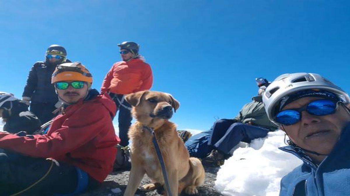 El alpinista junto con la escuela de Alta Montaña de Club Alpino Mexicano subieron por el extremo sur del volcán y hallaron al perro en malas condiciones
