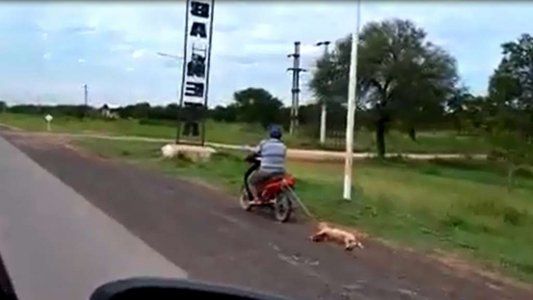 Un hombre ató un perro a la moto y lo arrastró hasta matarlo