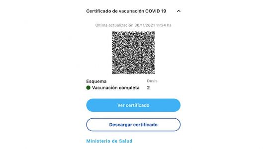 Ya se puede tener en el celular el certificado de vacunación contra el coronavirus: ¿cómo descargarlo?