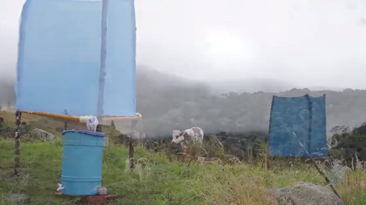 Las mallas capturan el agua de la niebla y la vuelcan por ca&ntilde;os a toneles de almacenamiento (Foto: captura de TV).