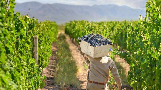 Acordaron el bono de $20.000 para trabajadores rurales: mensajes cruzados entre el gremio y las entidades