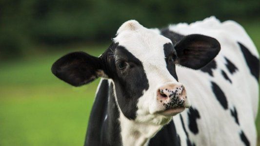 Los detalles de una de las paritarias más altas del año y las críticas del gremio a la Gestapo sindical