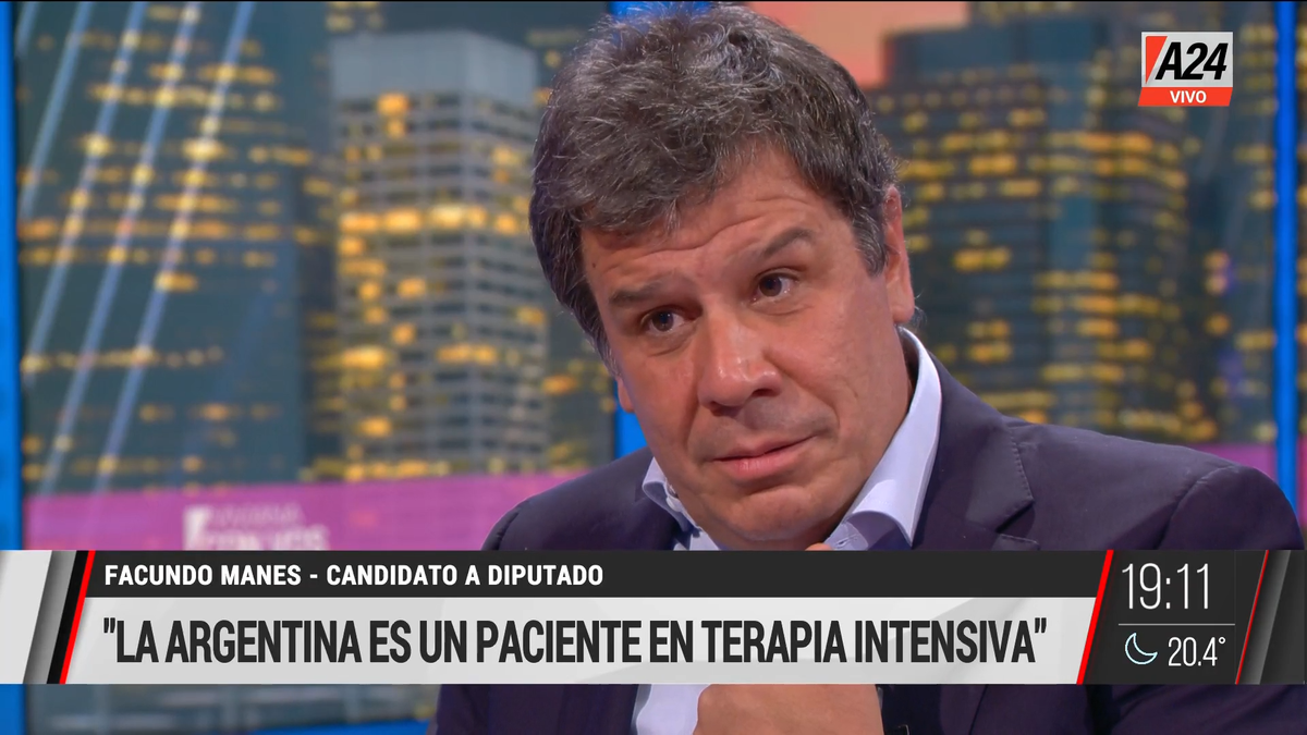 Facundo Manes llamó a votar en contra de los mismos de siempre (Foto: captura de TV).