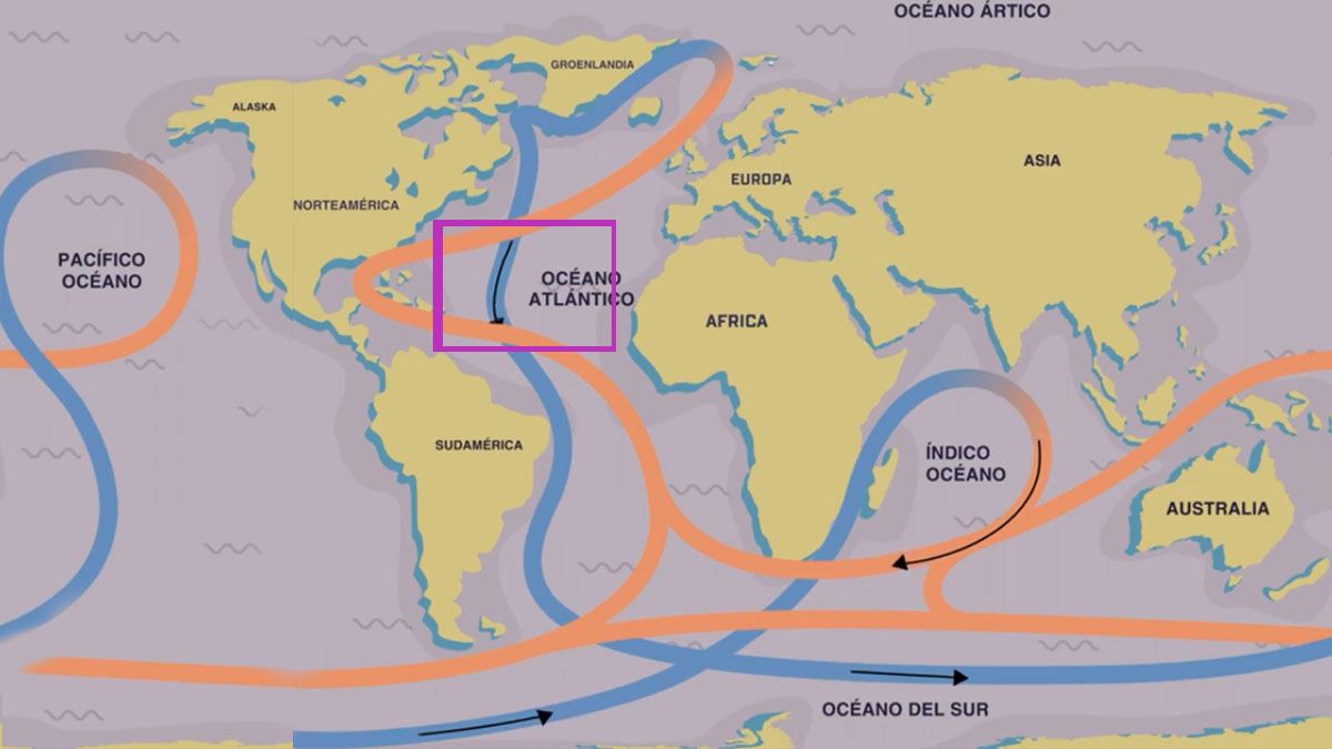 Si el agua deja de circular por el planeta, de cálida a fría en momento del año, el cambio climático será aun peor. (Foto Captura de TV)