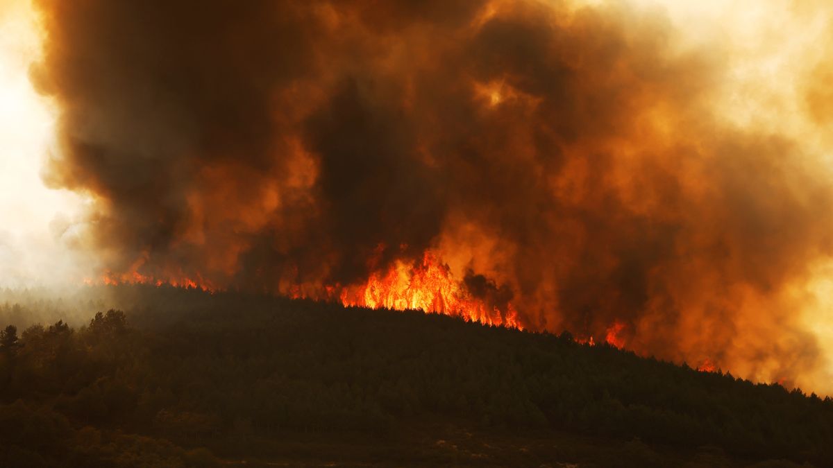 Los incendios en Europa no dan tregua. (Foto: Reuters).