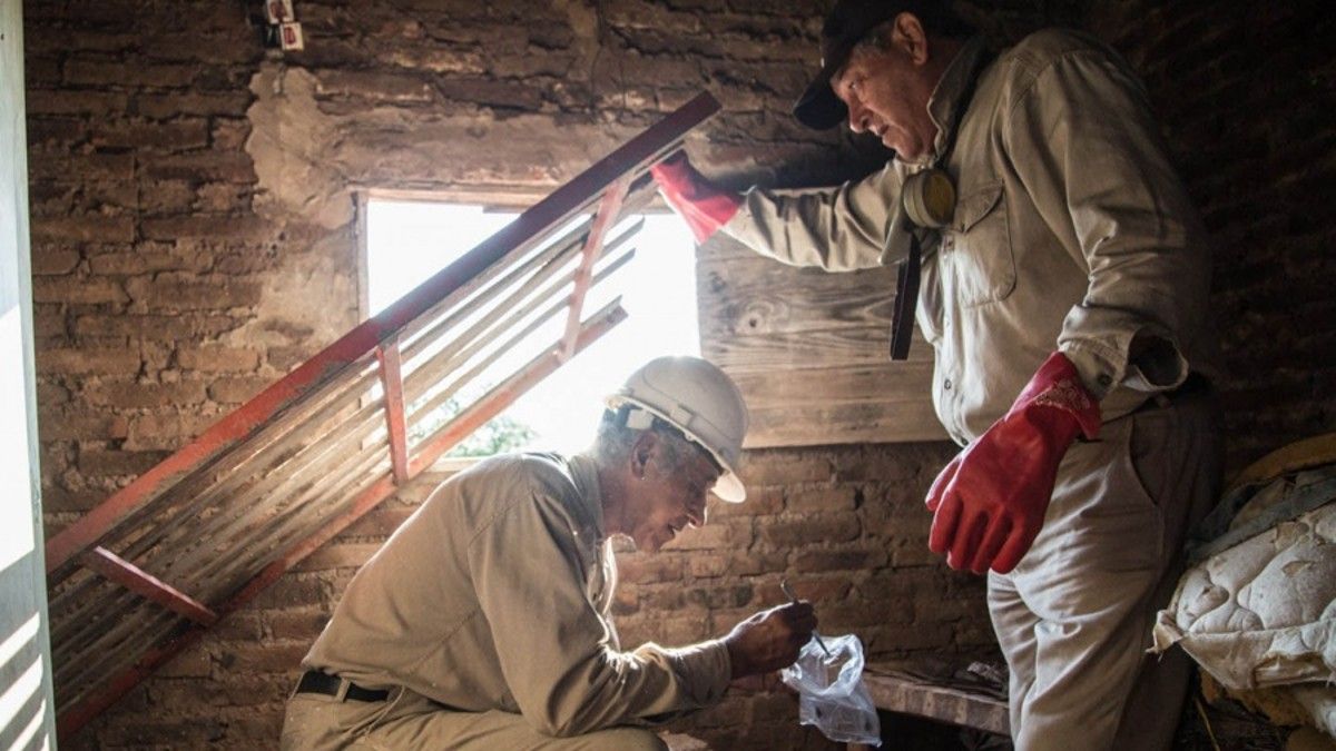 Es urgente continuar con la difusión de la enfermedad para concientizar a la población respecto de la presencia de la vinchuca. (Foto: Télam)   