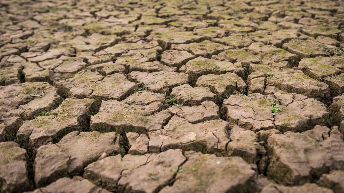 Sequía: terminó "La Niña" pero se espera un mayor impacto en áreas ya afectadas (Foto: Freepik.es)
